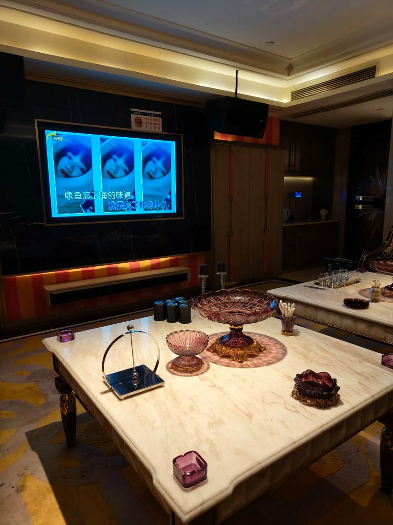 临沂商务ktv精品娱乐首选商务ktv体验-郯城县ktv预定